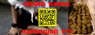 СК Ставрополь