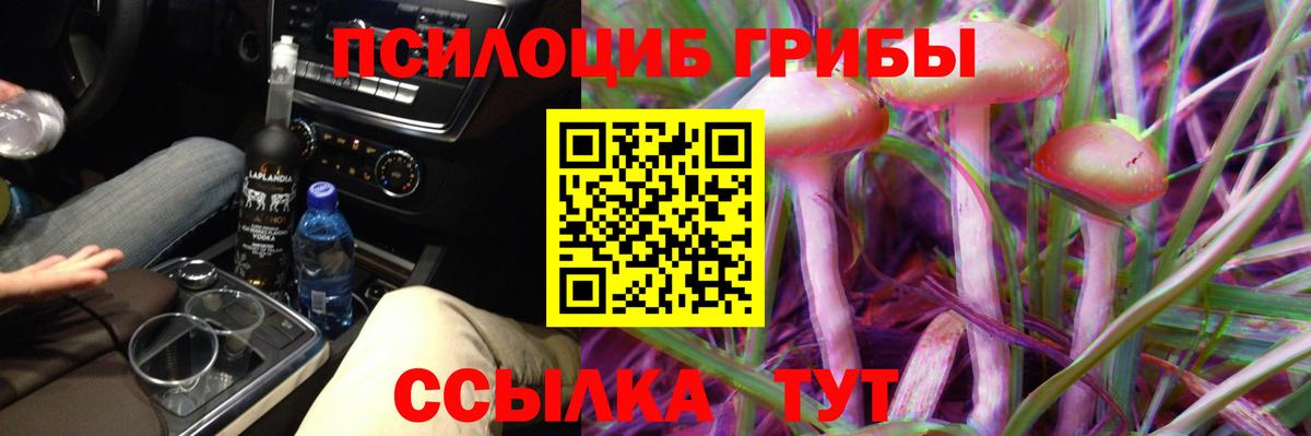 Новокубанск  наркота  Вход с VPN  Галлюциногенные грибы Cubensis 