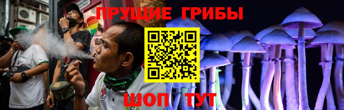 Псилоцибиновые грибы мицелий Новокубанск